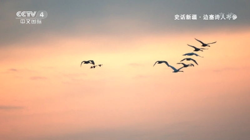 史话新疆 《史话新疆》 第三十三集 边塞诗人岑参