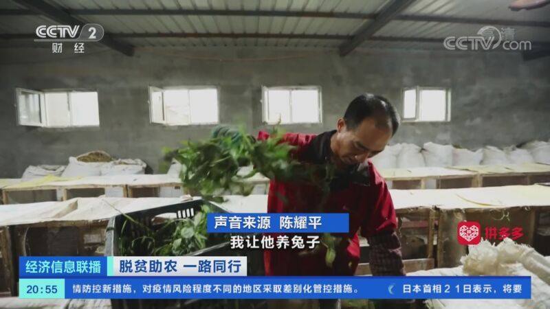 经济信息联播 《经济信息联播》 20201122