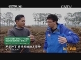 远方的家 百山百川行 第一百八十五集 农田里挖铁棍山药《远方的家》 20140116
