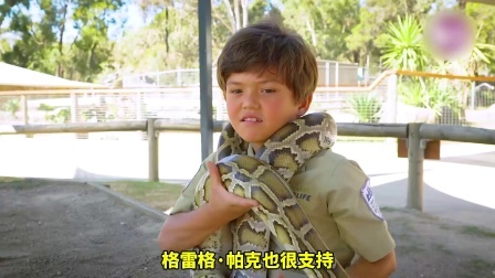 半岛奇闻 他1岁开始玩蛇  3岁就驯服凶猛的鳄鱼