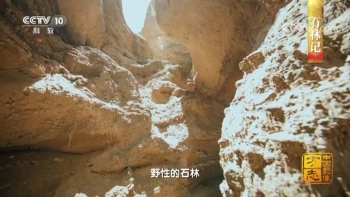 中国影像方志 《中国影像方志》 第305集 甘肃景泰篇