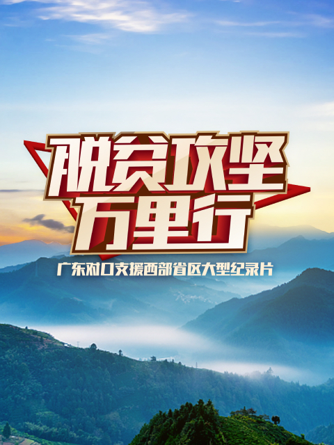 脱贫攻坚万里行 海报