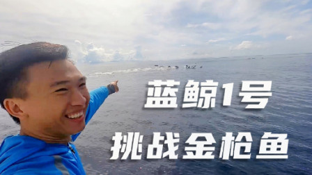 阿镭为了钓金枪鱼去1500米深海，发现鱼群，真过瘾