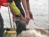 生财有道 《生财有道》 20170206 广东大亚湾：海味 海趣 海边财