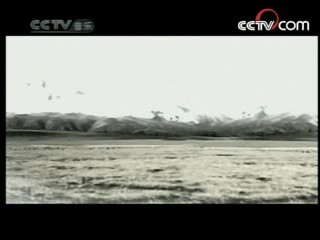 民歌&middot;中国 民歌·中国 2008年 第94期