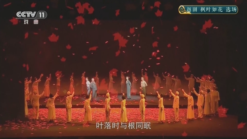 CCTV空中剧院 《CCTV空中剧院》 20260629 越剧《枫叶如花》选场