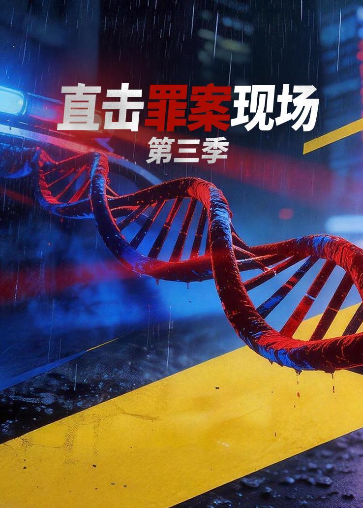 直击罪案现场第三季