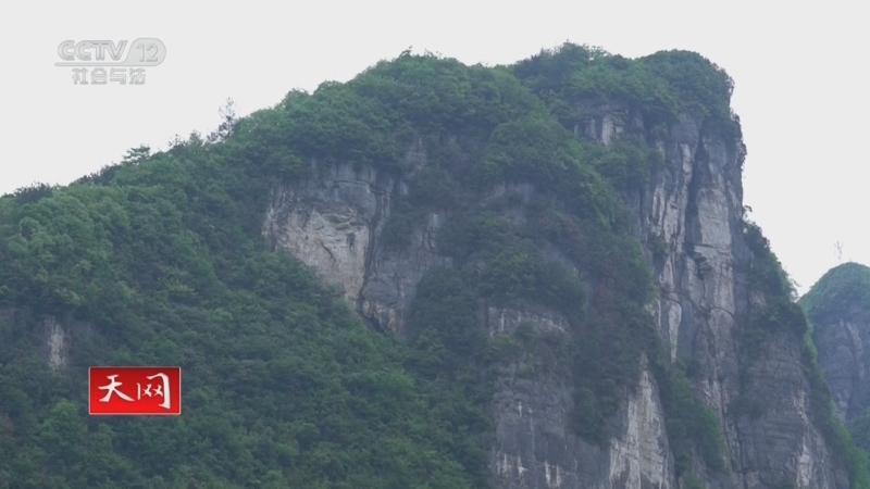 天网 《天网》 20260113 深山迷踪
