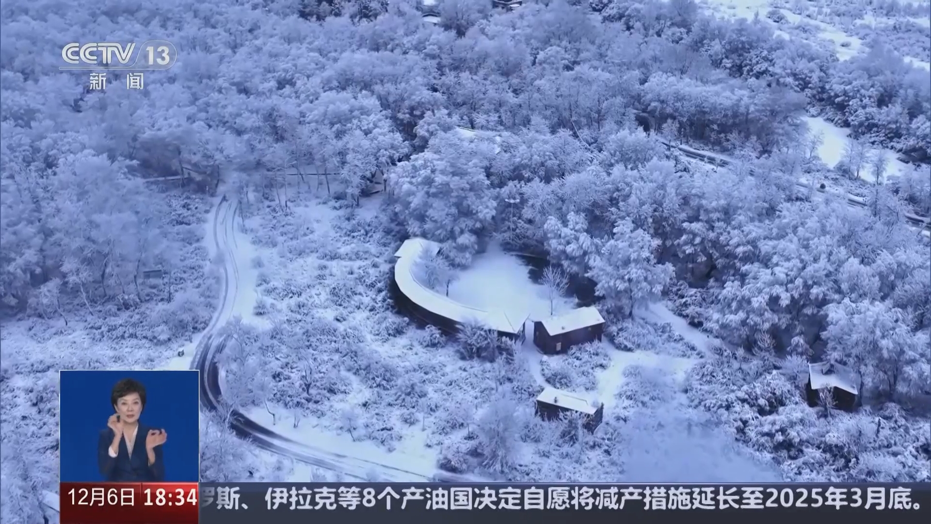 共同关注 《共同关注》 20241206