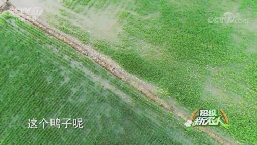 超级新农人 《超级新农人》 20200816 第一站 苏州