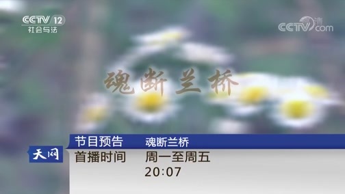 天网 《天网》 20180830 油漆下的秘密