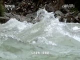 地理中国 《地理中国》 20170411 天山深处的发现（下）