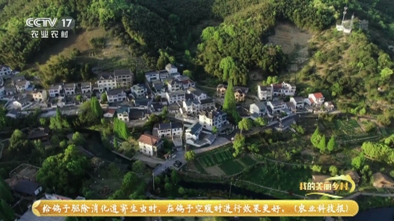 《我的美丽乡村》 20210910 山清水秀毛岙村