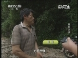 地理中国 神树之谜 上《地理中国》 20130328