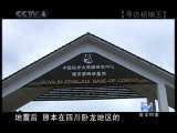 寻访桢楠王(上)