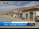 西藏新闻联播 《西藏新闻联播》 20151202