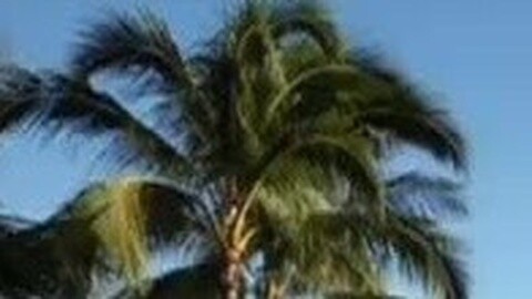 四海漫游 夏威夷 我来了（一）