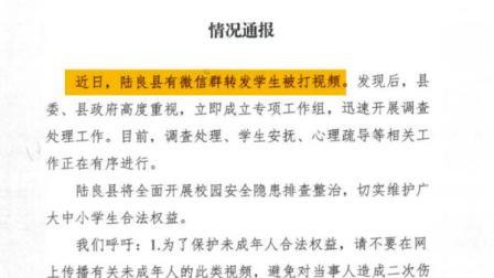 @所有人 云南陆良县通报学生被打事件：成立工作组开展调查处理