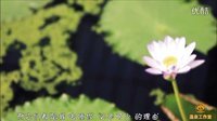全民翻唱 2016 神曲版《穿过大半个中国去睡你》 41