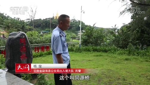 天网 《天网》 20191018 闪耀·禁毒使命