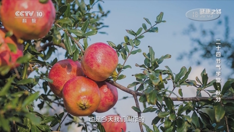 健康之路 《健康之路》 20220923 二十四节气学堂·秋分