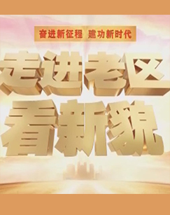 走进老区看新貌 海报