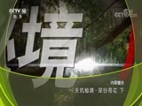 地理中国 《地理中国》 20180805 天坑秘境·深谷奇花（下）