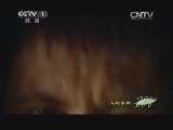 人与自然 《人与自然》 20140302 自然发现：人类星球——丛林（下）