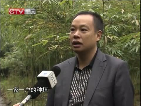 重庆新闻联播 《重庆新闻联播》 20141117