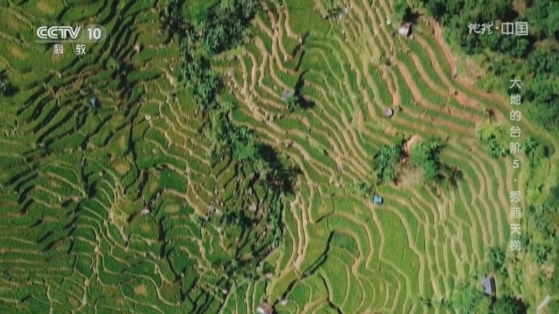 地理中国 《地理·中国》 20230217 大地的台阶5·秀丽天梯
