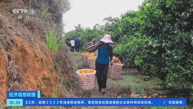经济信息联播 《经济信息联播》 20230322