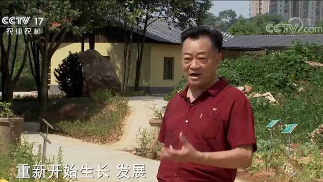 致富经 《致富经》 20201003 石头山上财富来