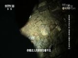 探索发现2018考古进行时第一季 《探索发现》 20180226 2018考古进行时 第一季 海昏侯大墓考古现场 （八）