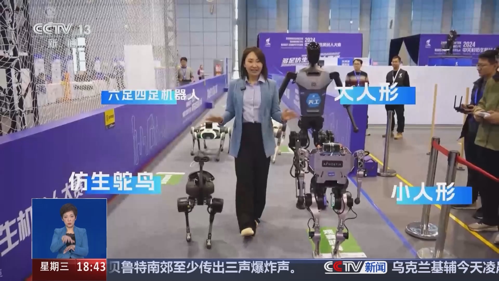 共同关注 《共同关注》 20241127
