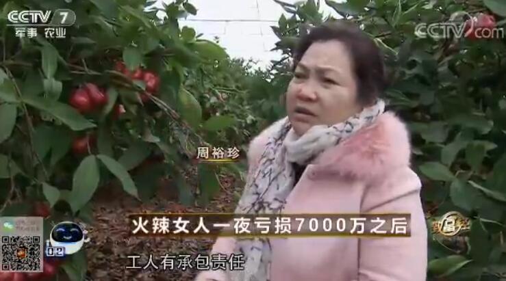 致富经 [致富经]火辣女人一夜亏损7000万之后 20180306