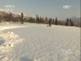 军事纪实 《军事纪实》 20170113 新兵上岗时①雪海边关我的家