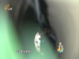 天下父母 《天下父母》 20160807 深井救援——生死12小时