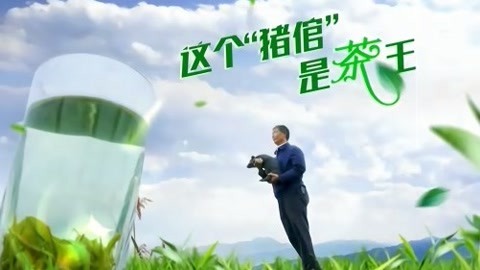 与梦想合拍 这个“猪倌”是茶王