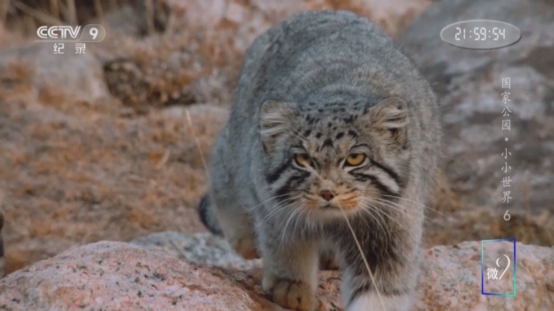 《国家公园 小小世界》 第6集