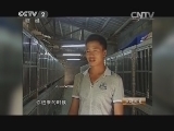 生财有道 《生财有道》 20150114 山村里养出“招财猫”