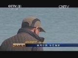 生财有道 《生财有道》 20150323 2015农家乐（第一季） 南海小镇 乐在渔家