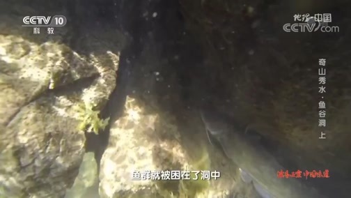 地理中国 《地理·中国》 20191117 奇山秀水·鱼谷洞 上
