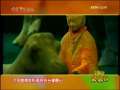 新闻袋袋裤 汉阳陵微笑彩俑将在台湾展出