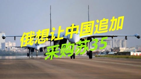 到底想干啥？俄罗斯称愿与中国进一步合作，随时可提供更多苏35