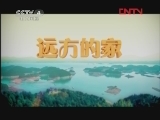 远方的家 《沿海行》第92集 缤纷之城东莞《远方的家》 20120411