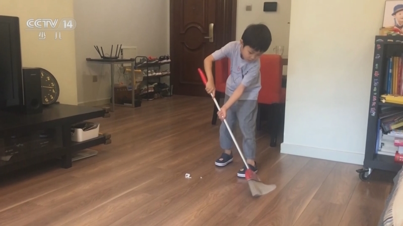 小小智慧树 《小小智慧树》 20230117