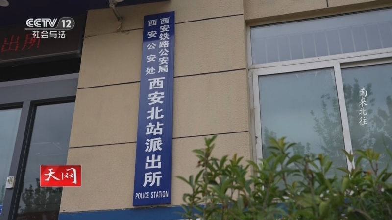 天网 《天网》 20251001 平安“枫警”线 南来北往