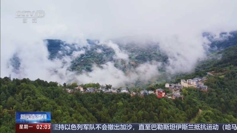 新闻直播间 《新闻直播间》 20260810 02:00