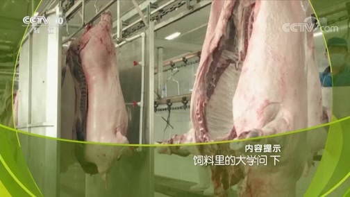 走近科学 《走近科学》 20190417 饲料里的大学问（下）