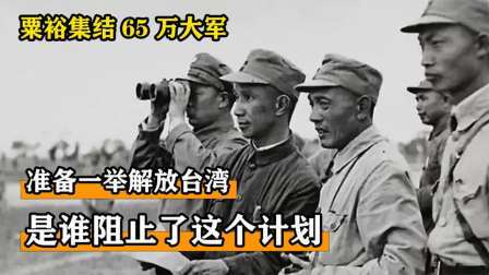 史记文学社第三季 粟裕集结65万大军，准备一举解放台湾，是谁阻止了这个计划